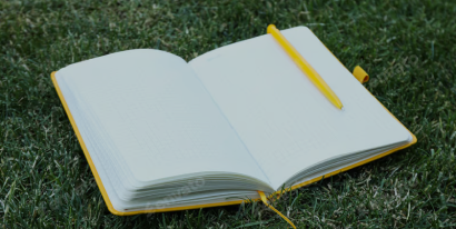 Lorem ipsum dolor sit amet consectetur.  Scelerisque vel sed fusce commodo.